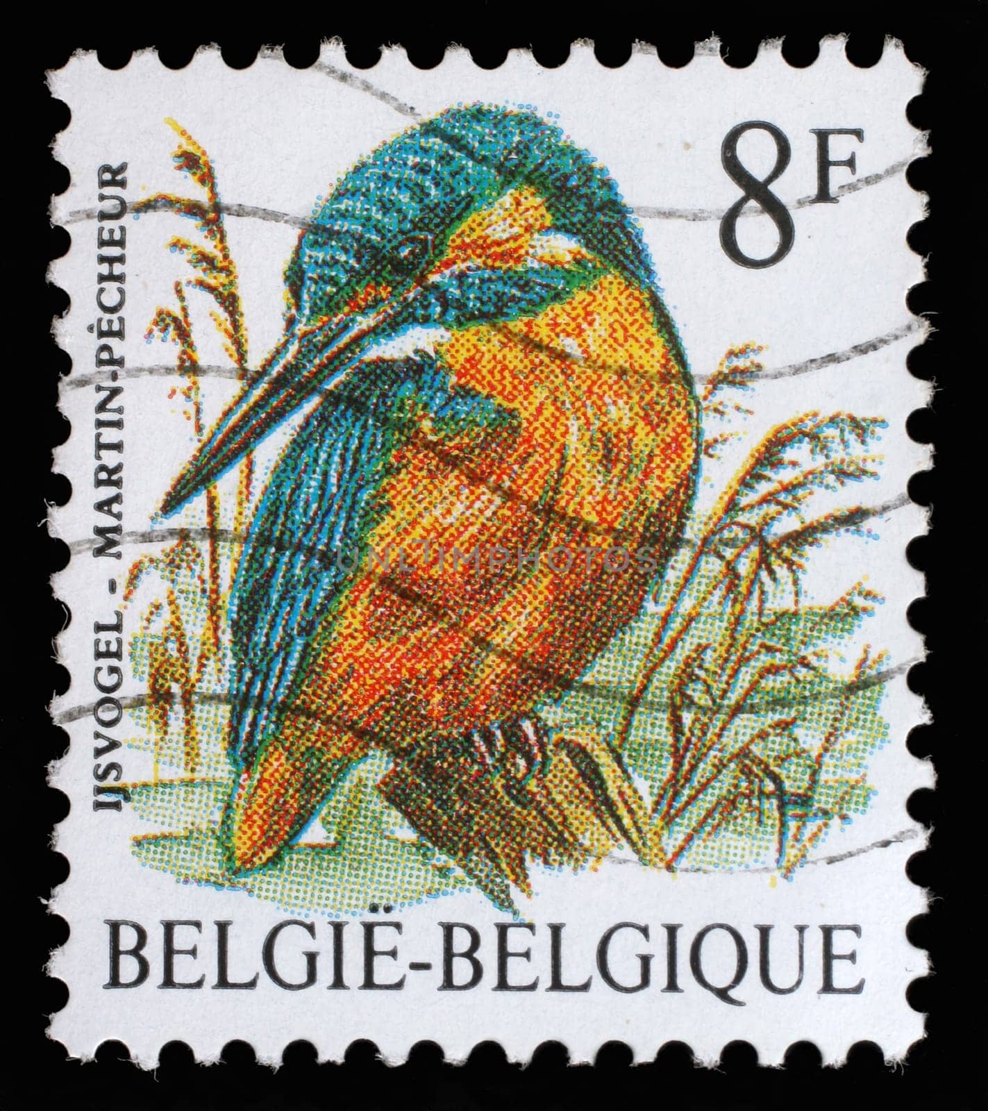 BELGIUM - CIRCA 2000: A stamp printed in Belgium shows bird, circa 2000
