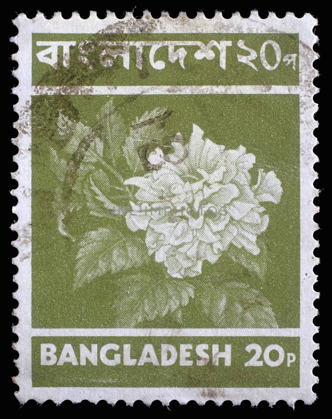 BANGLADESH - CIRCA 1970: Stamp printed in Bangladesh shows flower, circa 1970