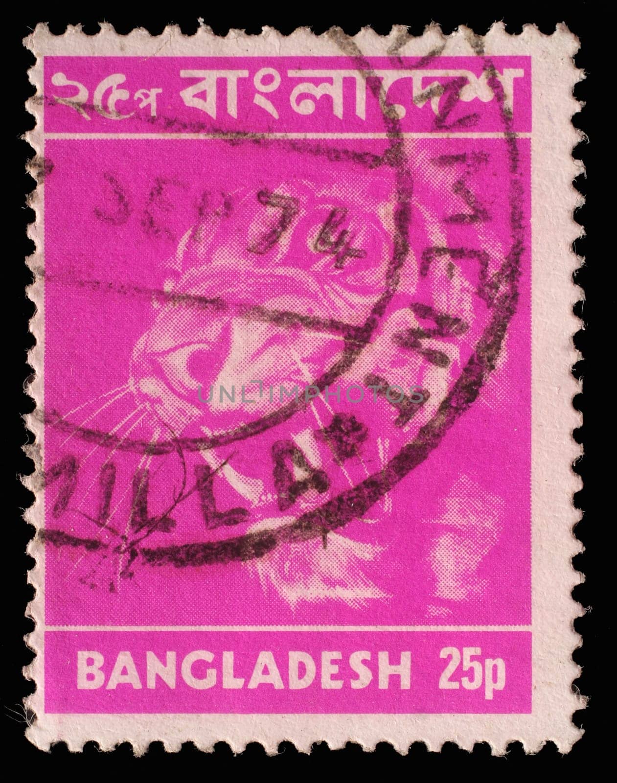 BANGLADESH - CIRCA 1973: Postage stamp printed in Bangladesh, shows a tiger (Panthera tigris), circa 1973