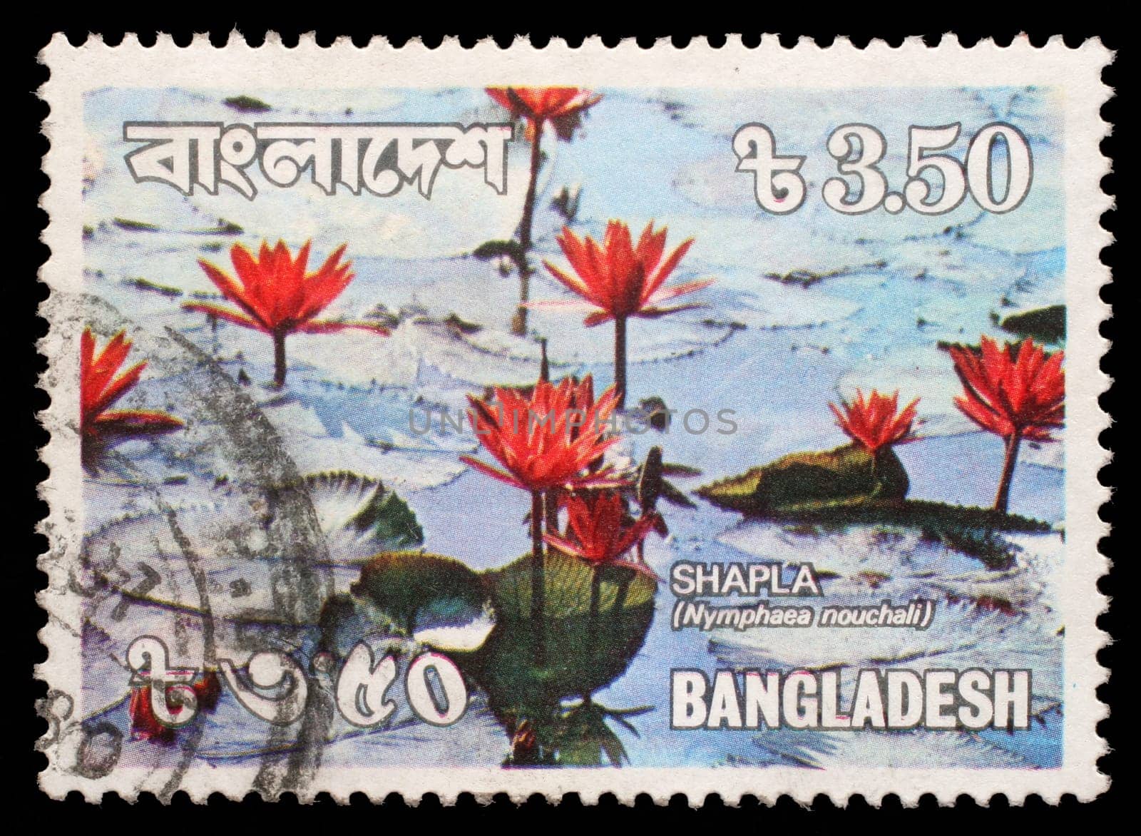 BANGLADESH - CIRCA 1990: A stamp printed in Bangladesh shows water lilies, circa 1990