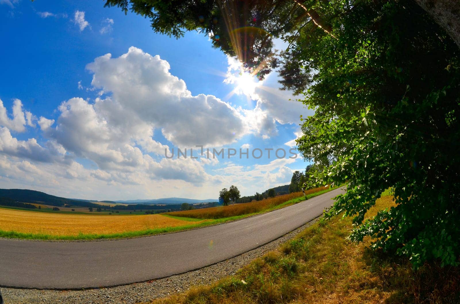 Landscape Field Summer