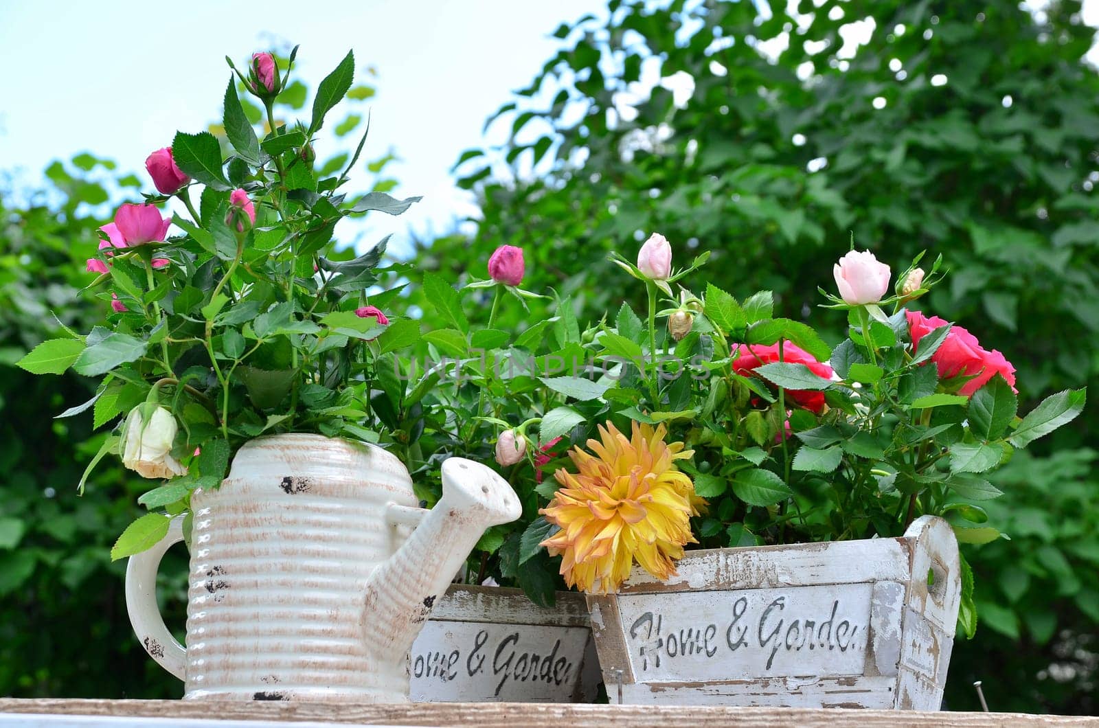 Rose Garden Romantic Flowerpot Pot White