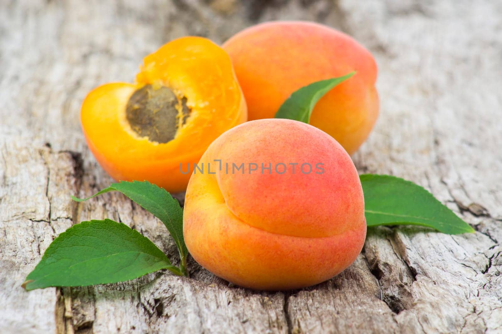 fresh apricots