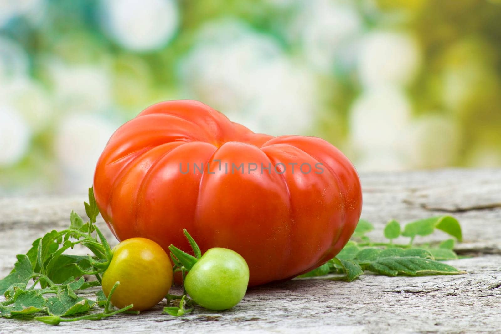 Fresh tomatoes on vintage wooden table