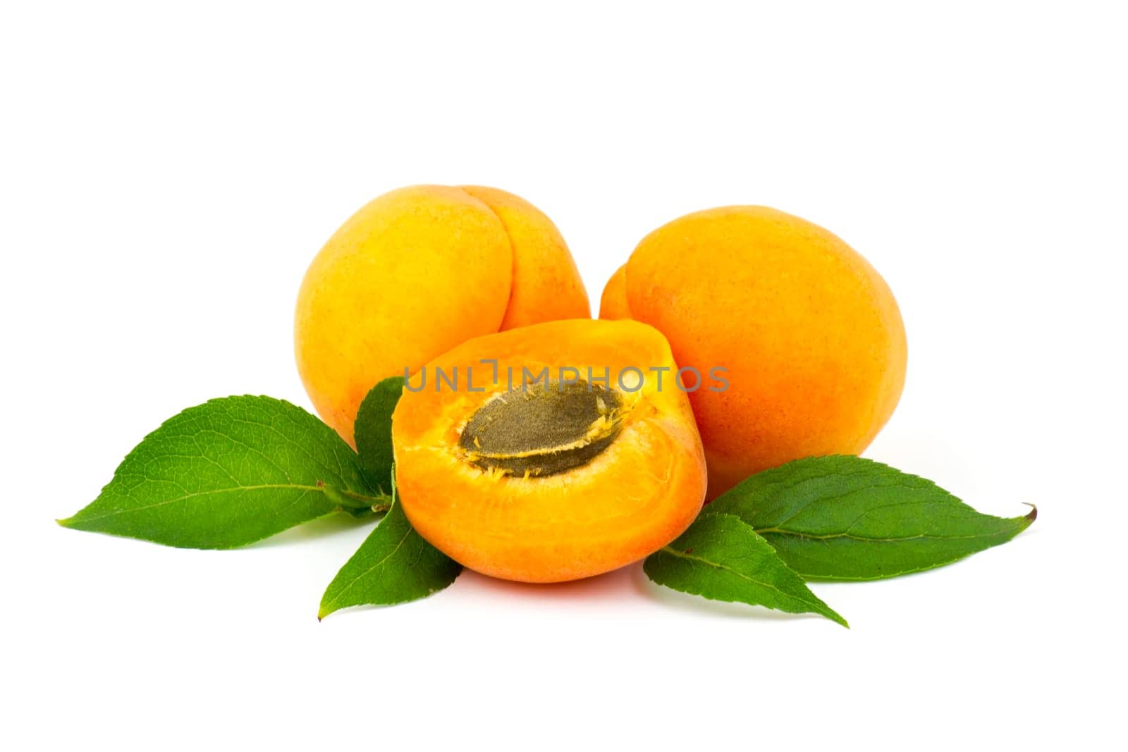 fresh apricots