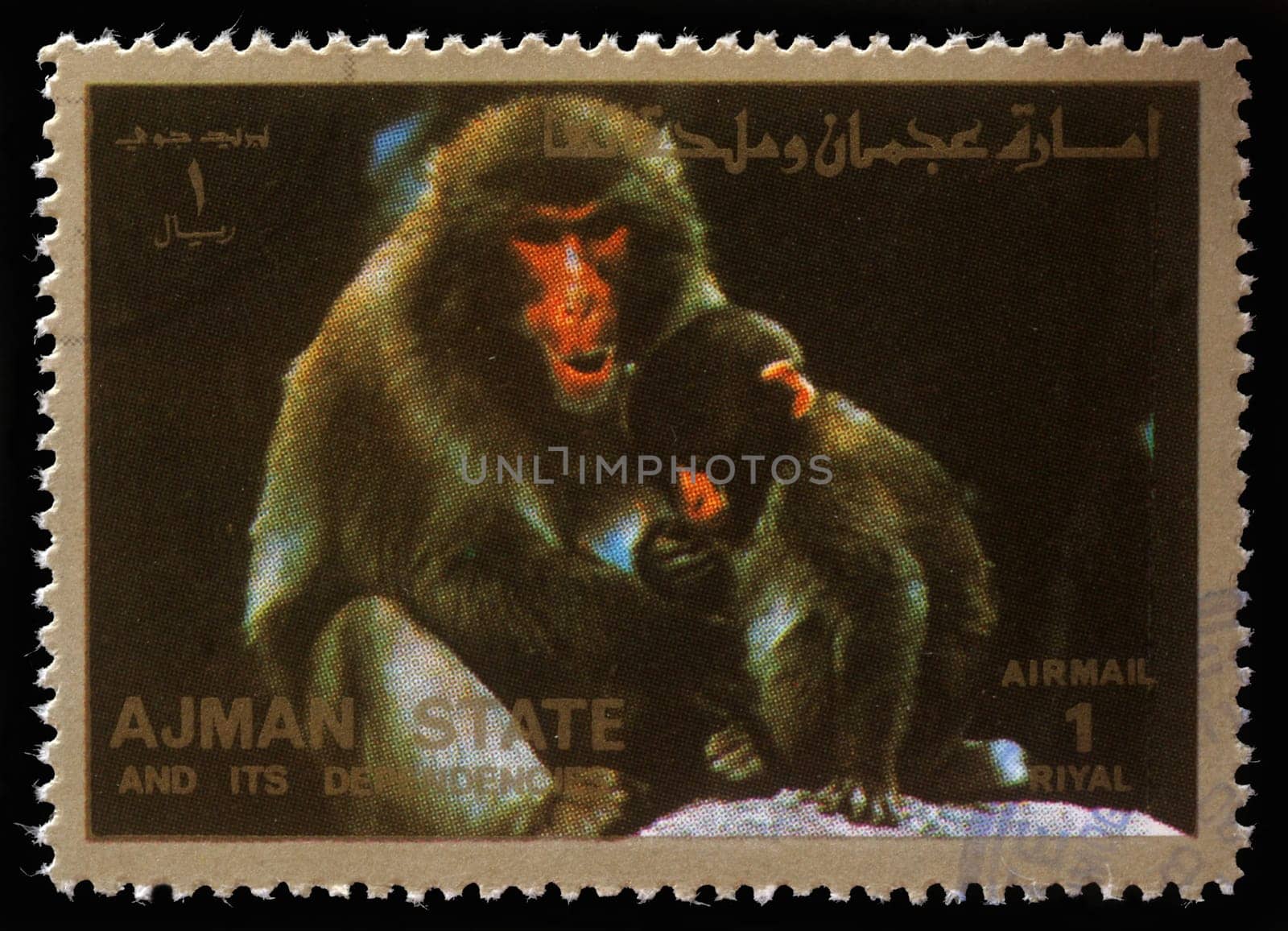 AJMAN - CIRCA 1973: stamp printed by Ajman shows monkeys, circa 1973