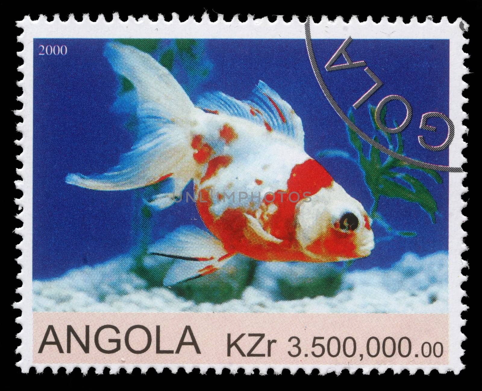 ANGOLA - CIRCA 2000: stamp printed by Angola shows Goldfish, circa 2000