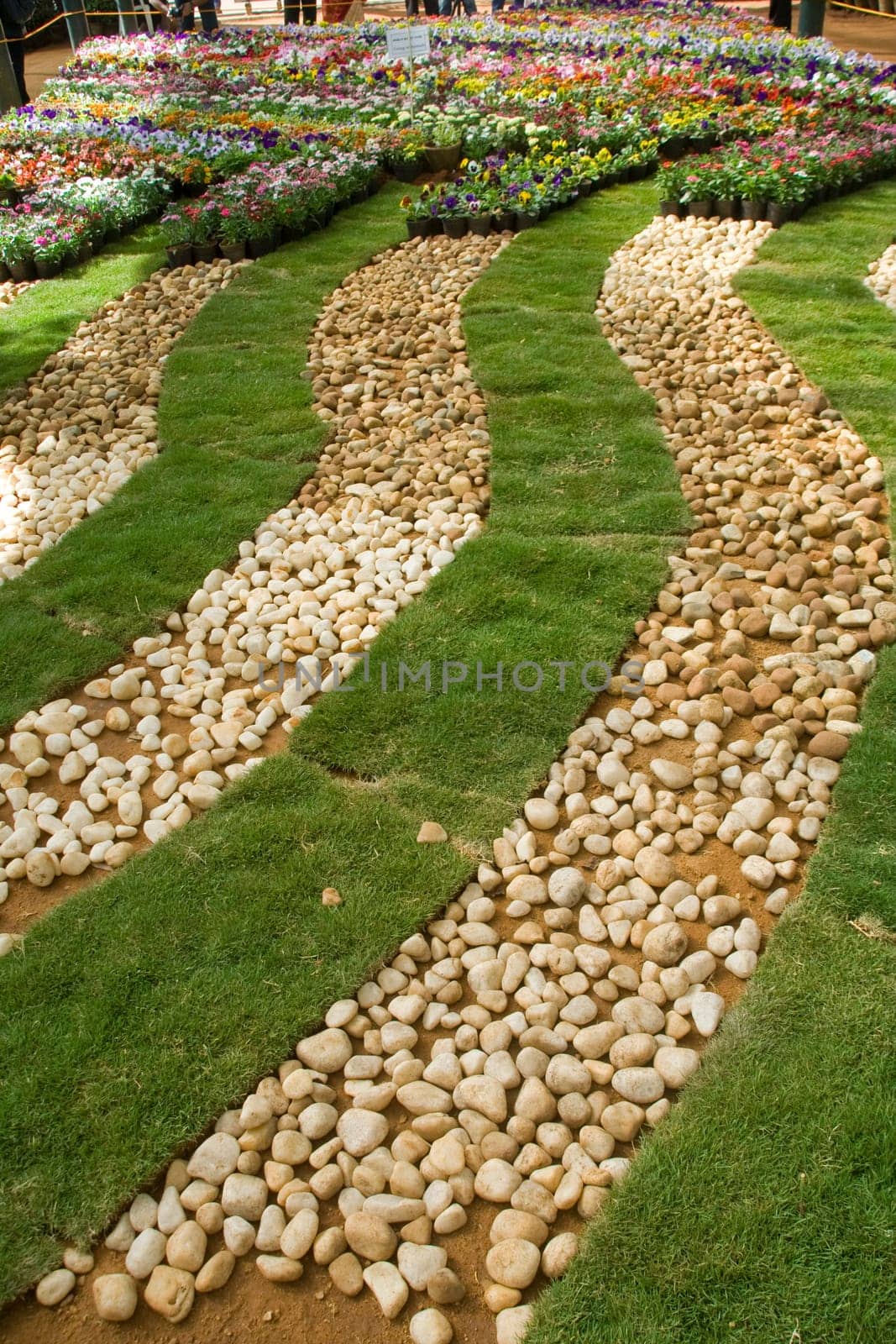 Arrangement of pebbles, grass lawns and flower beds in zigzag curved rows