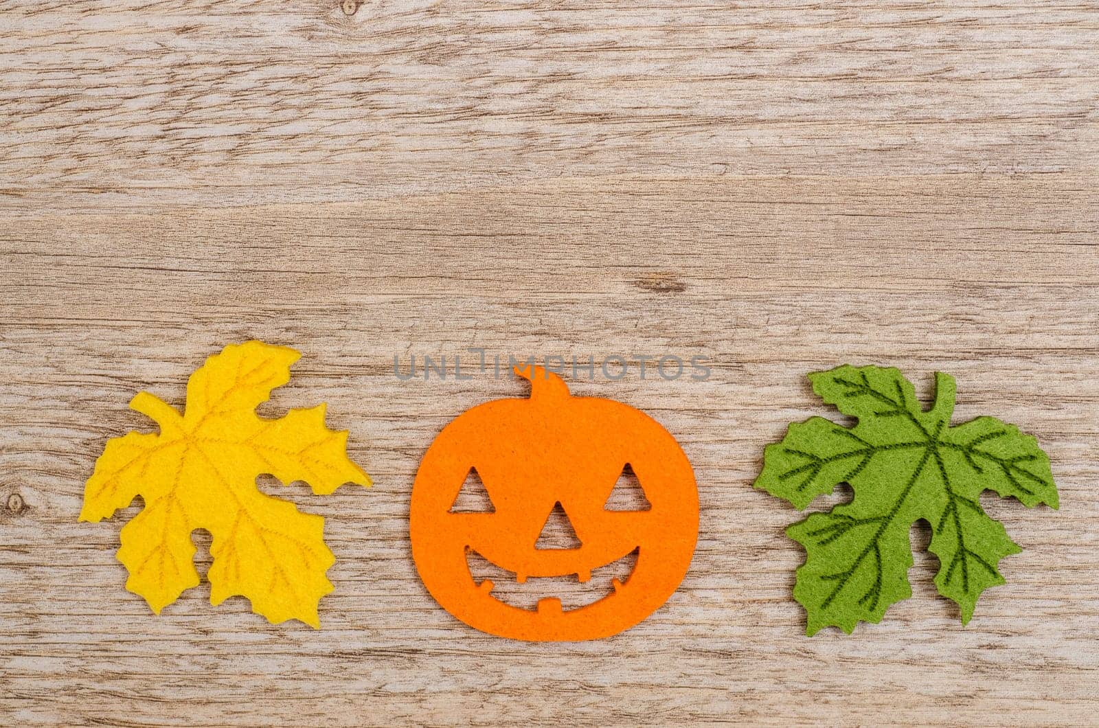 Orange pumpkin on Halloween with foliage and text space