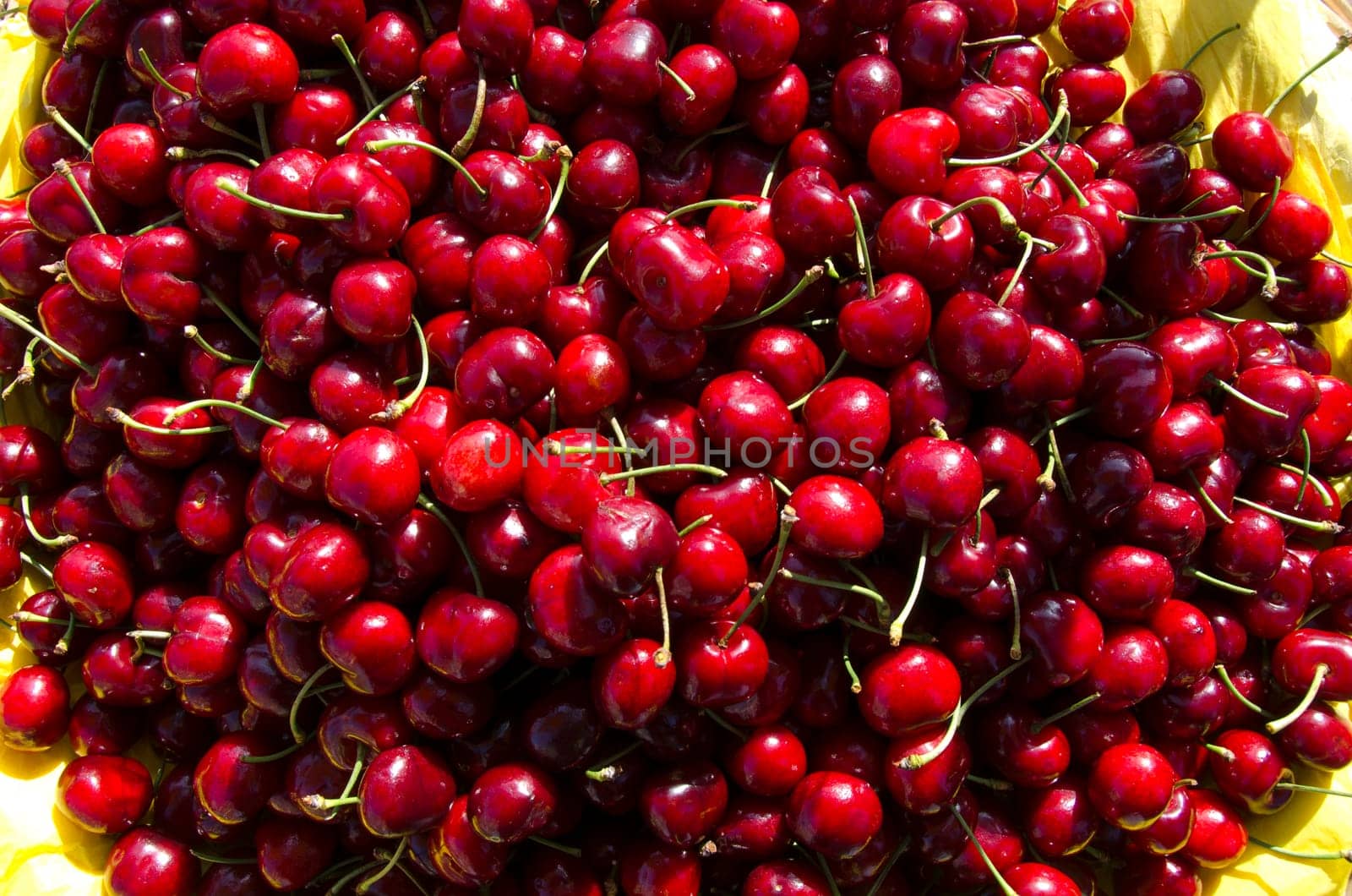 cherries in San Francisco, California