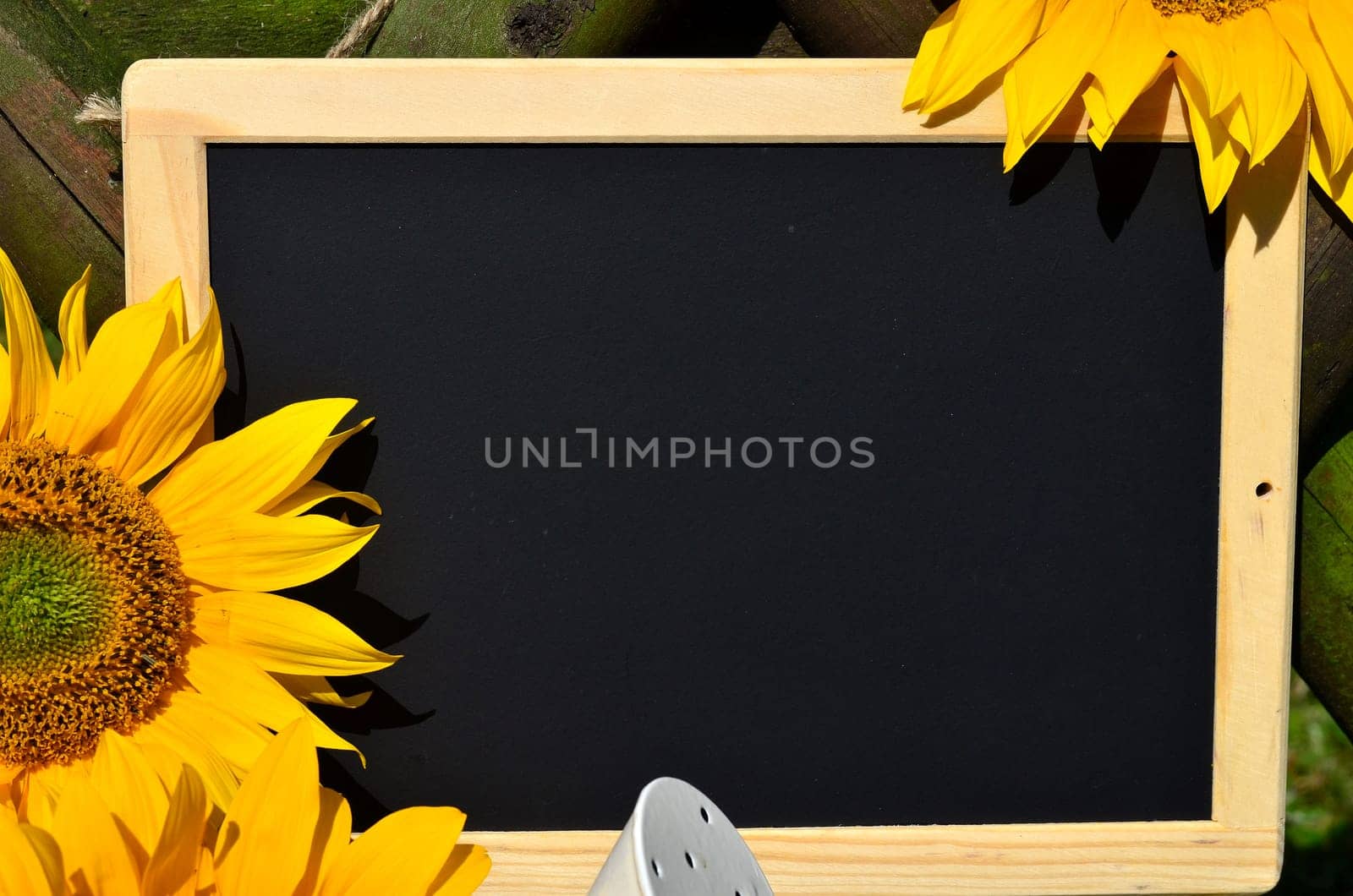 Sunflower Garden Fence Garden