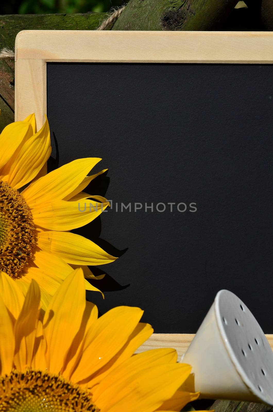 Sunflower Garden Fence Garden