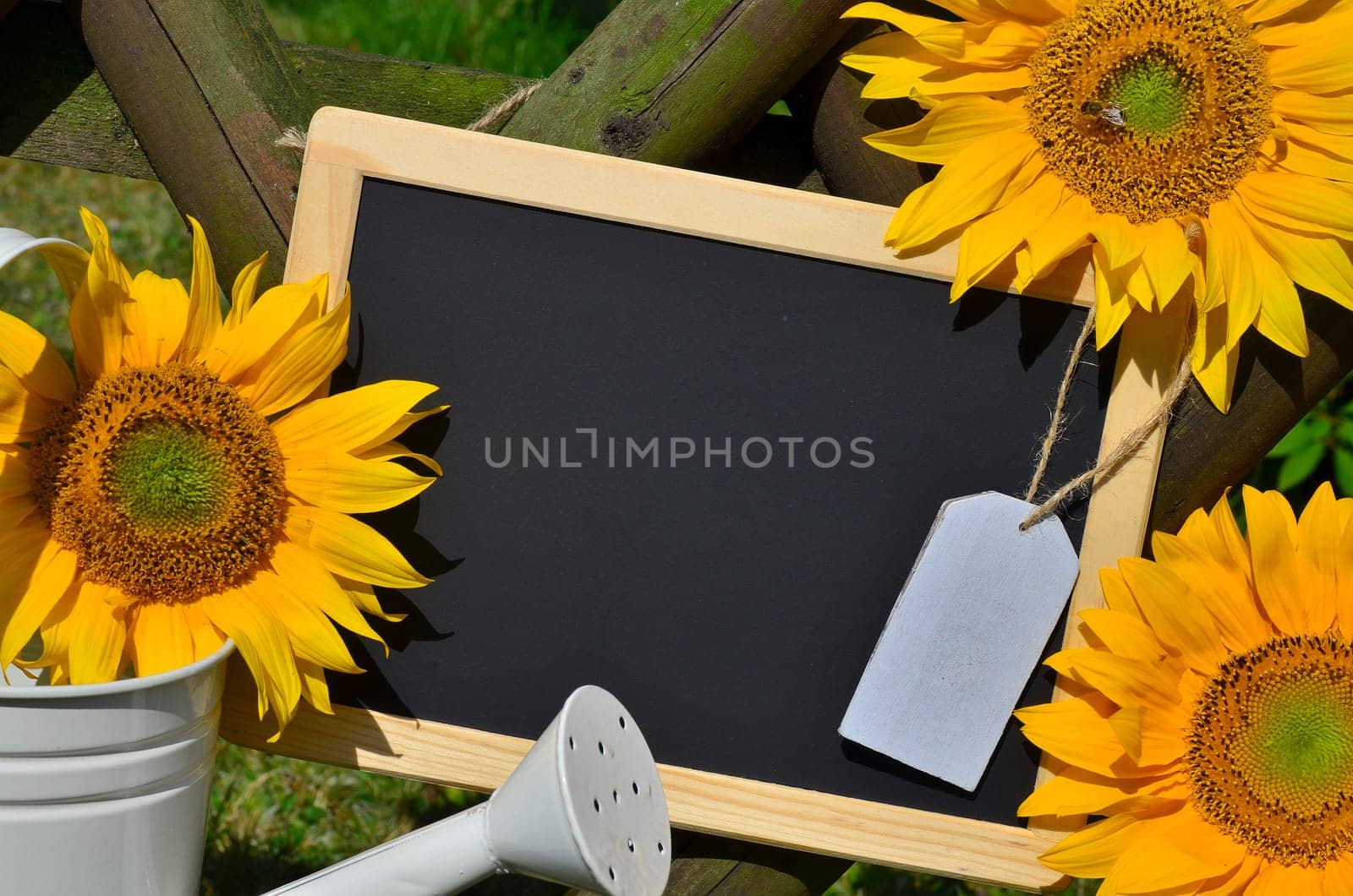 Sunflower Garden Fence Garden