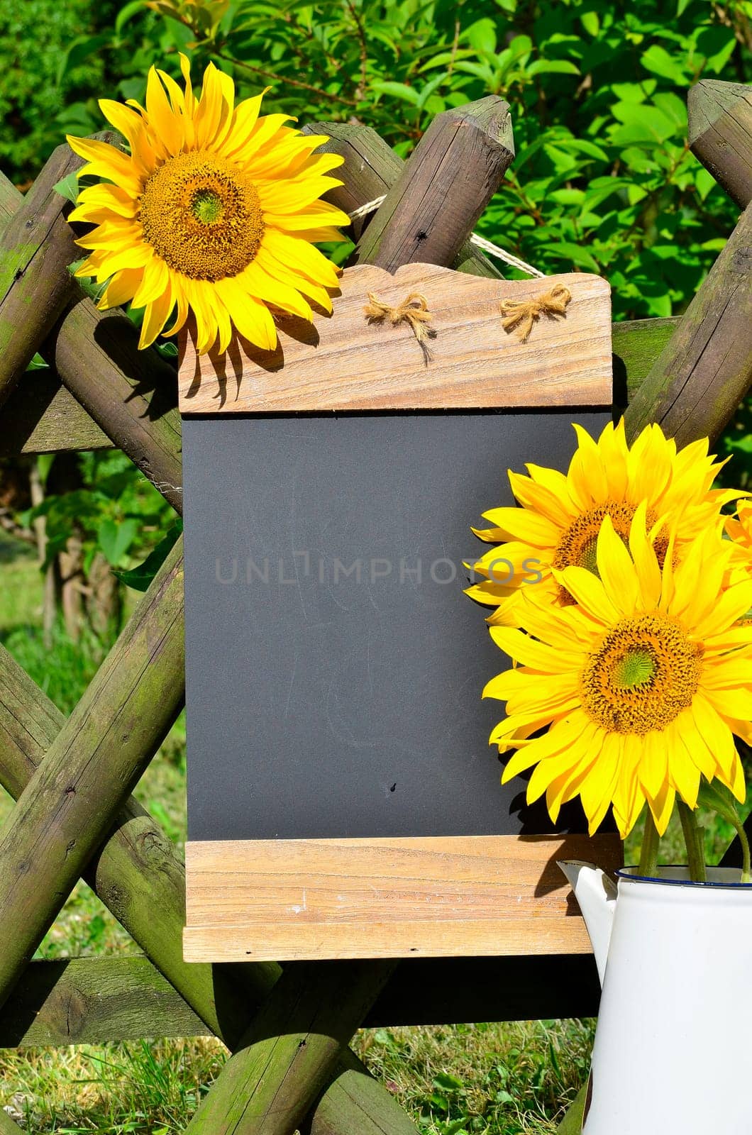 Sunflower Garden Fence Garden