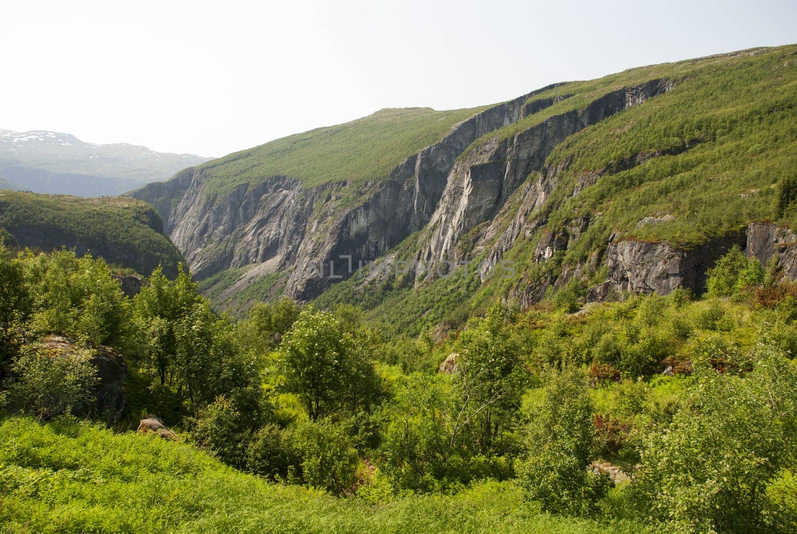 A Green Panoramatic Mountain Landscape