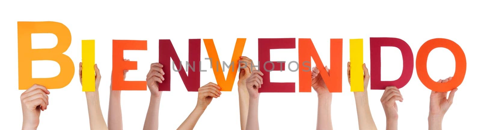 Some Persons Holding the Spanish Word Bienvenido Which Means Welcome, Isolated