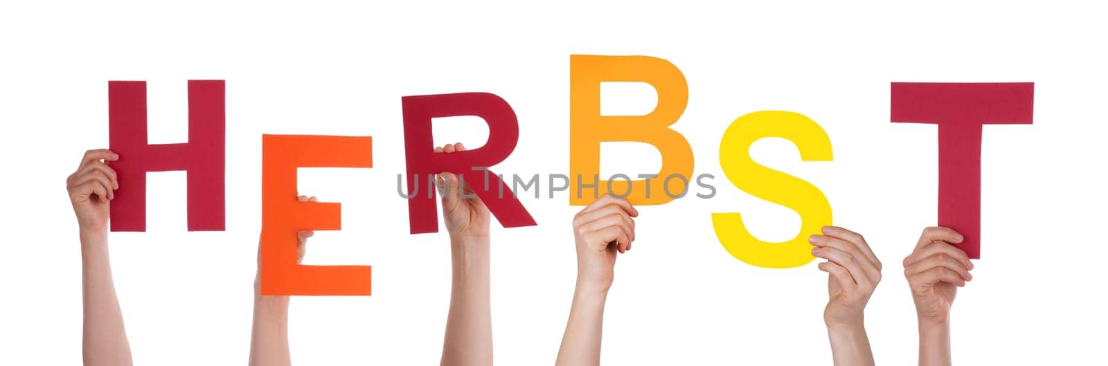 Many Hands Holding the German Word Herbst Which Means Autumn/Fall