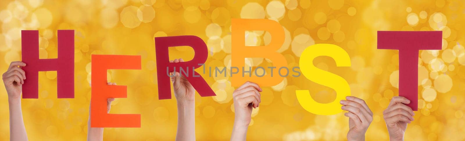 Many Hands Holding the German Word Herbst Which Means Fall or Autumn with a Yellow Background