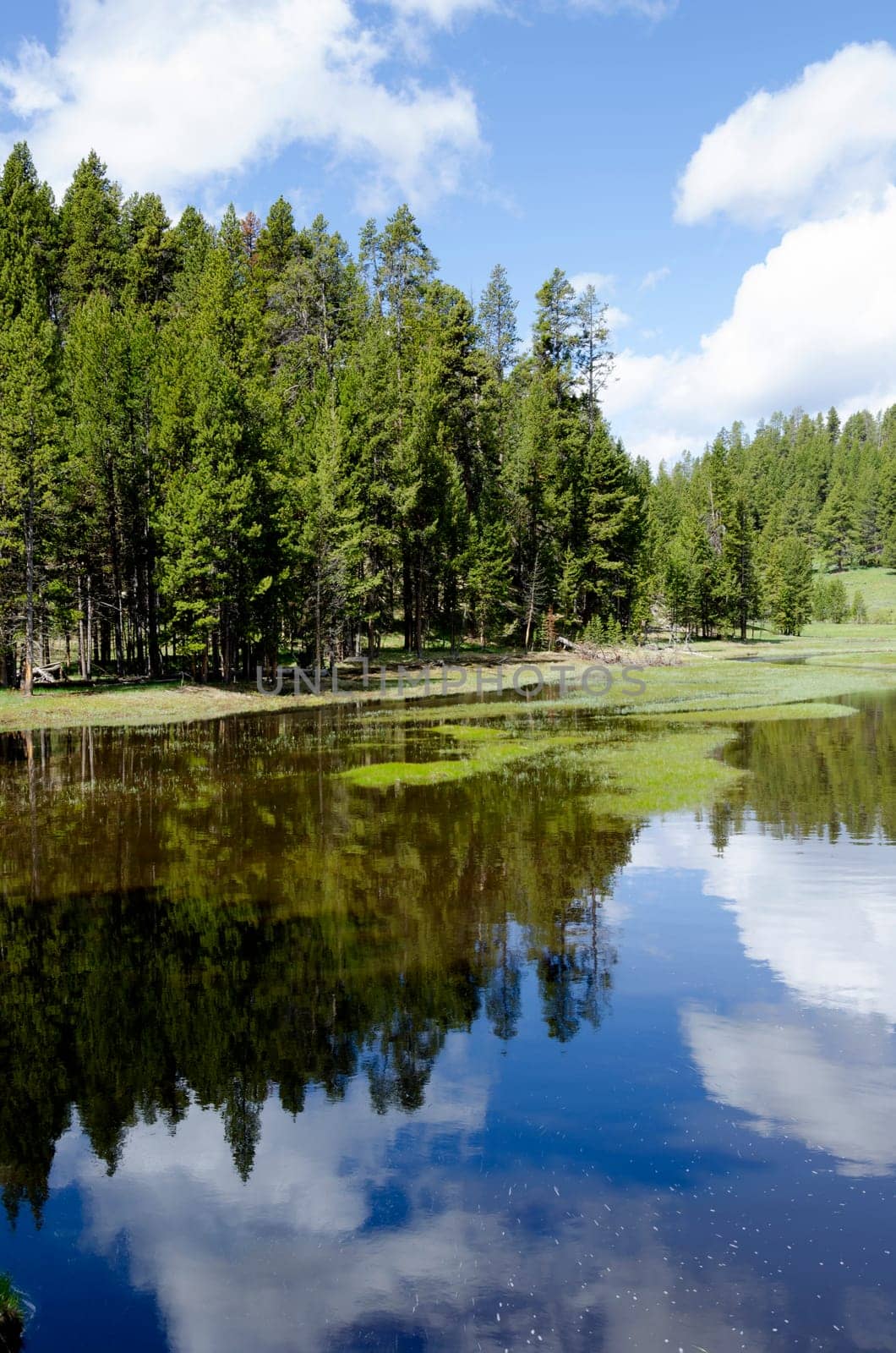 Lake in Yellowstone National Park in Wyoming