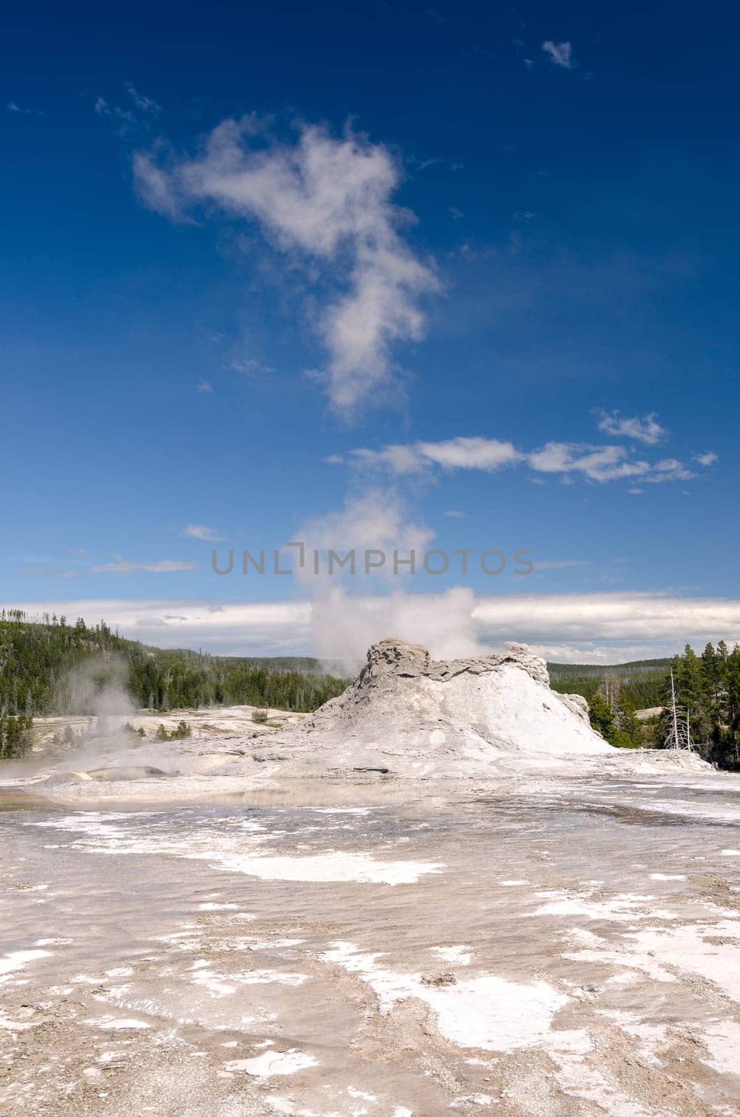 Geyser in Yellowstone National Park in Wyoming