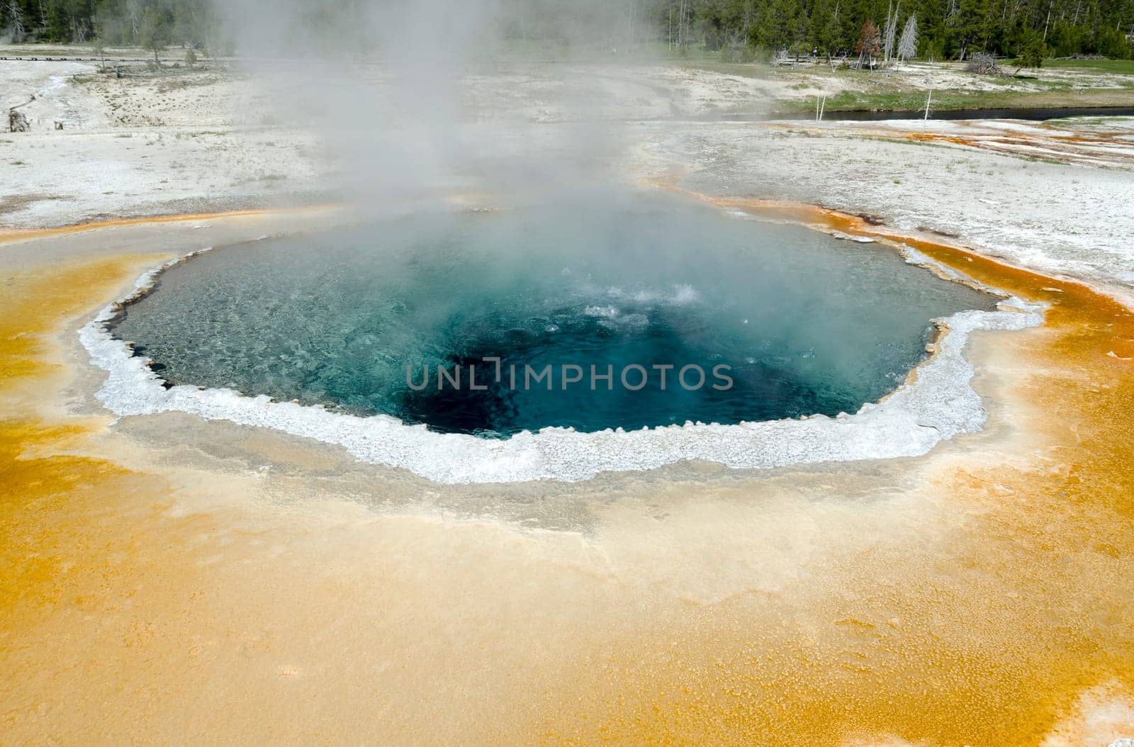 Geyser in Yellowstone National Park in Wyoming