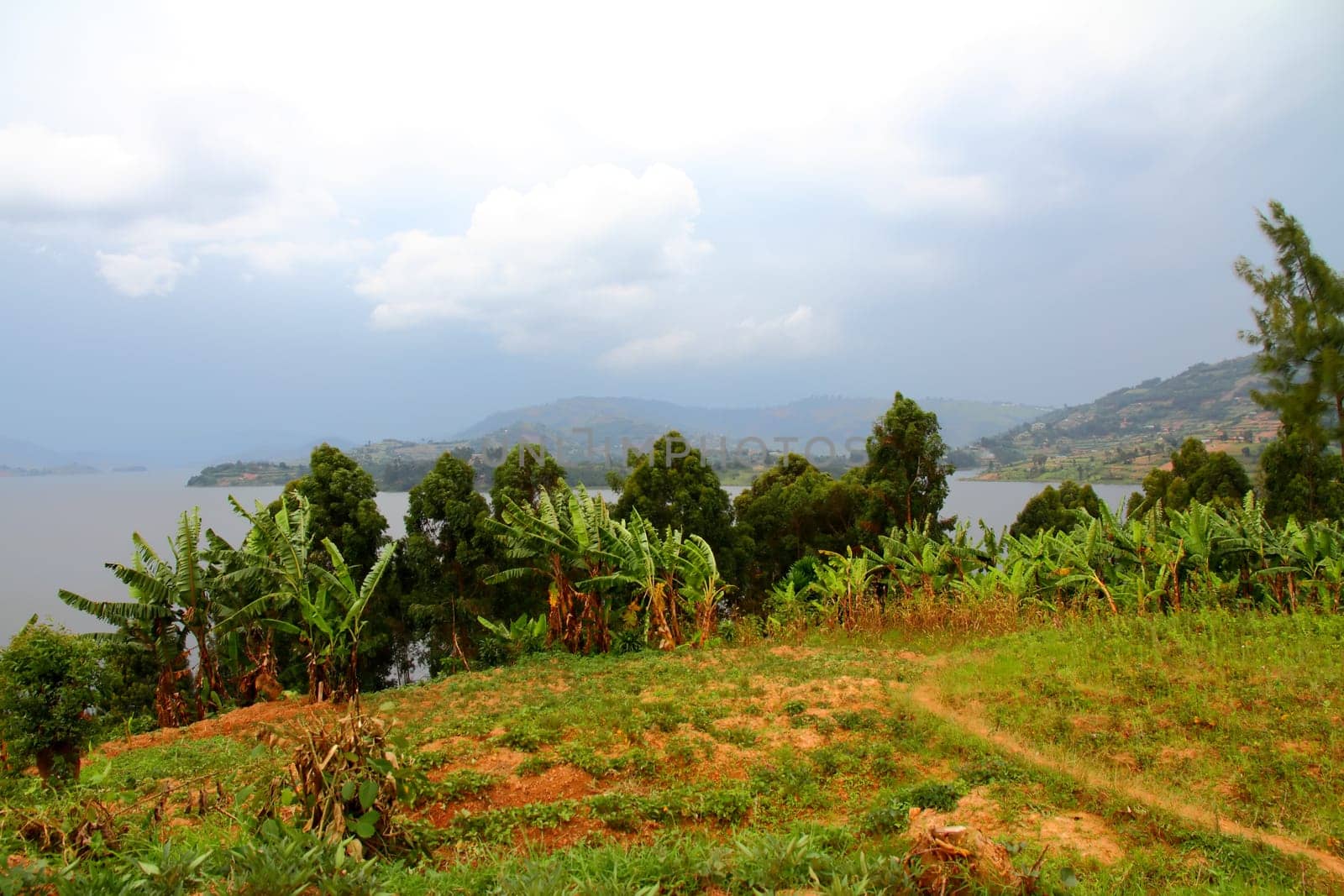 A meadow moving towards the shore of an Island on Lake Bunyoni, Uganda