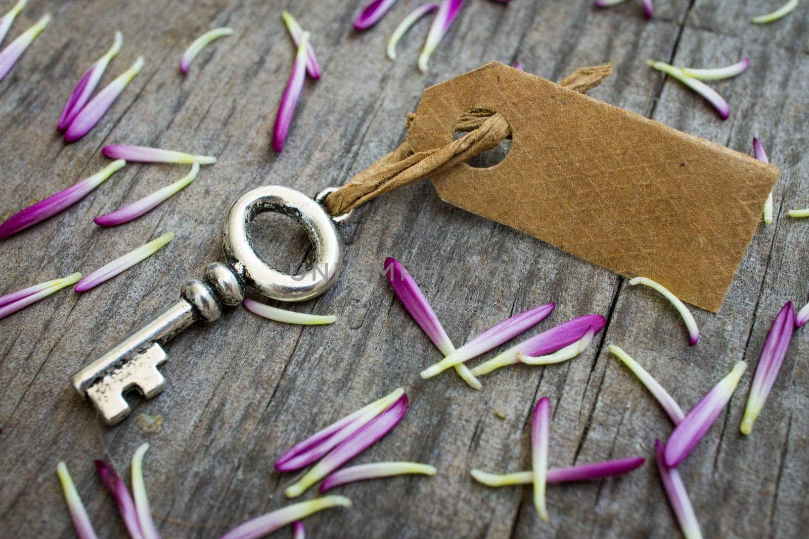 A Key with a label on wood background and purple flower petals