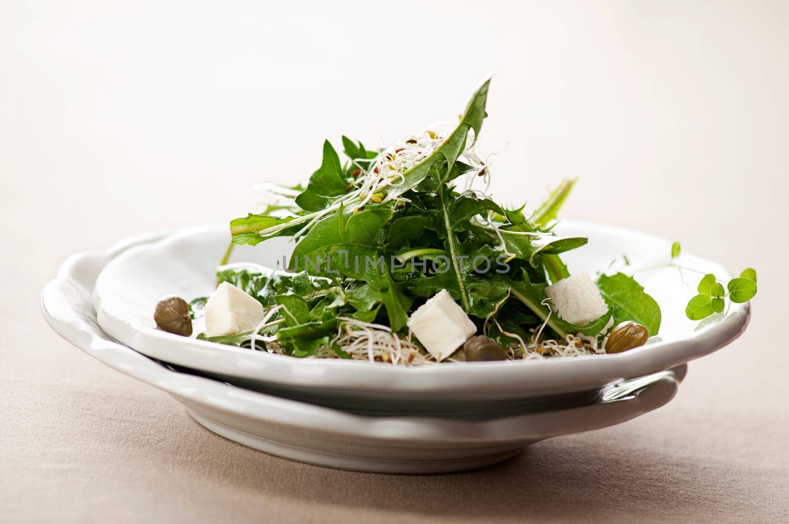 Fresh dandelion salad with mozzarella, sprouts and capers