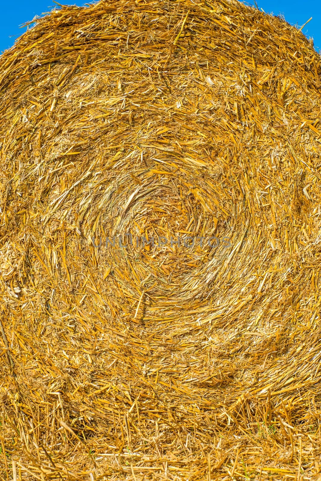 Straw bales