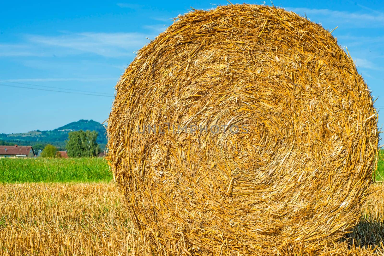 Straw bales