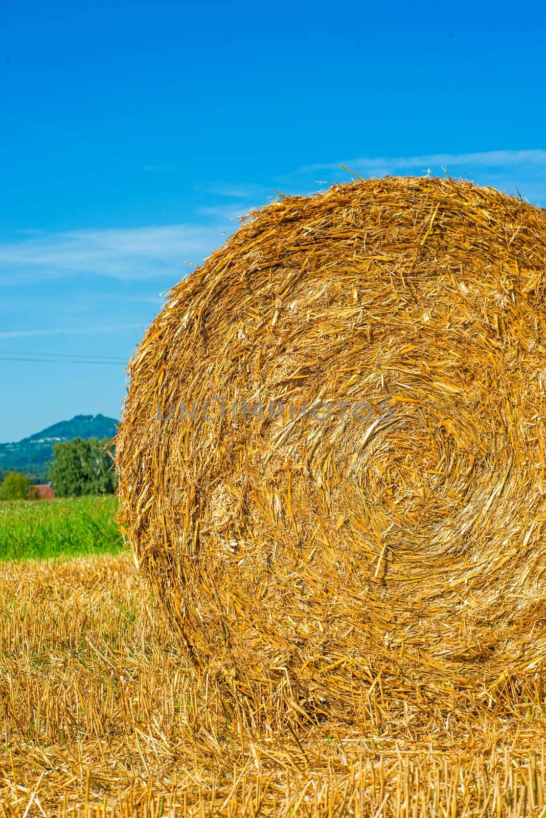 Straw bales