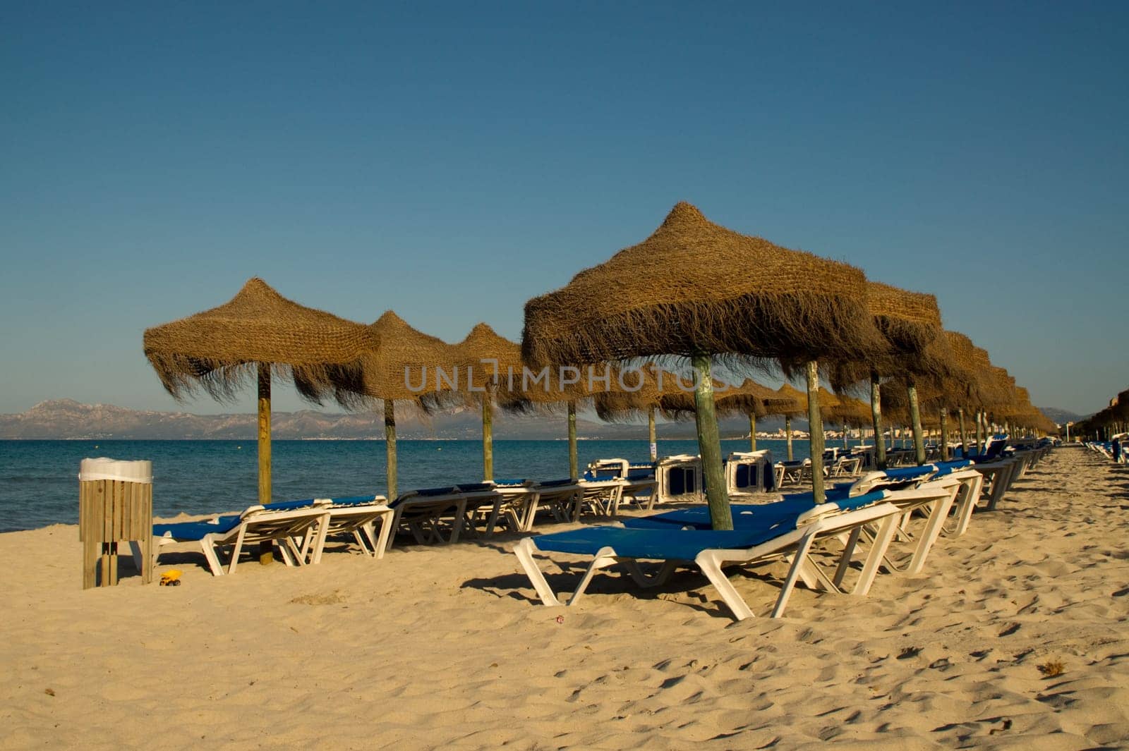 Umbrellas and deckchairs on the beach of Alcudia in Mallorca