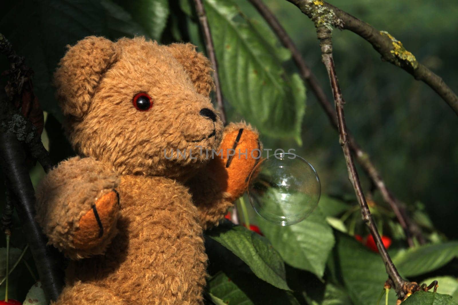 Teddy bear with soap bubble