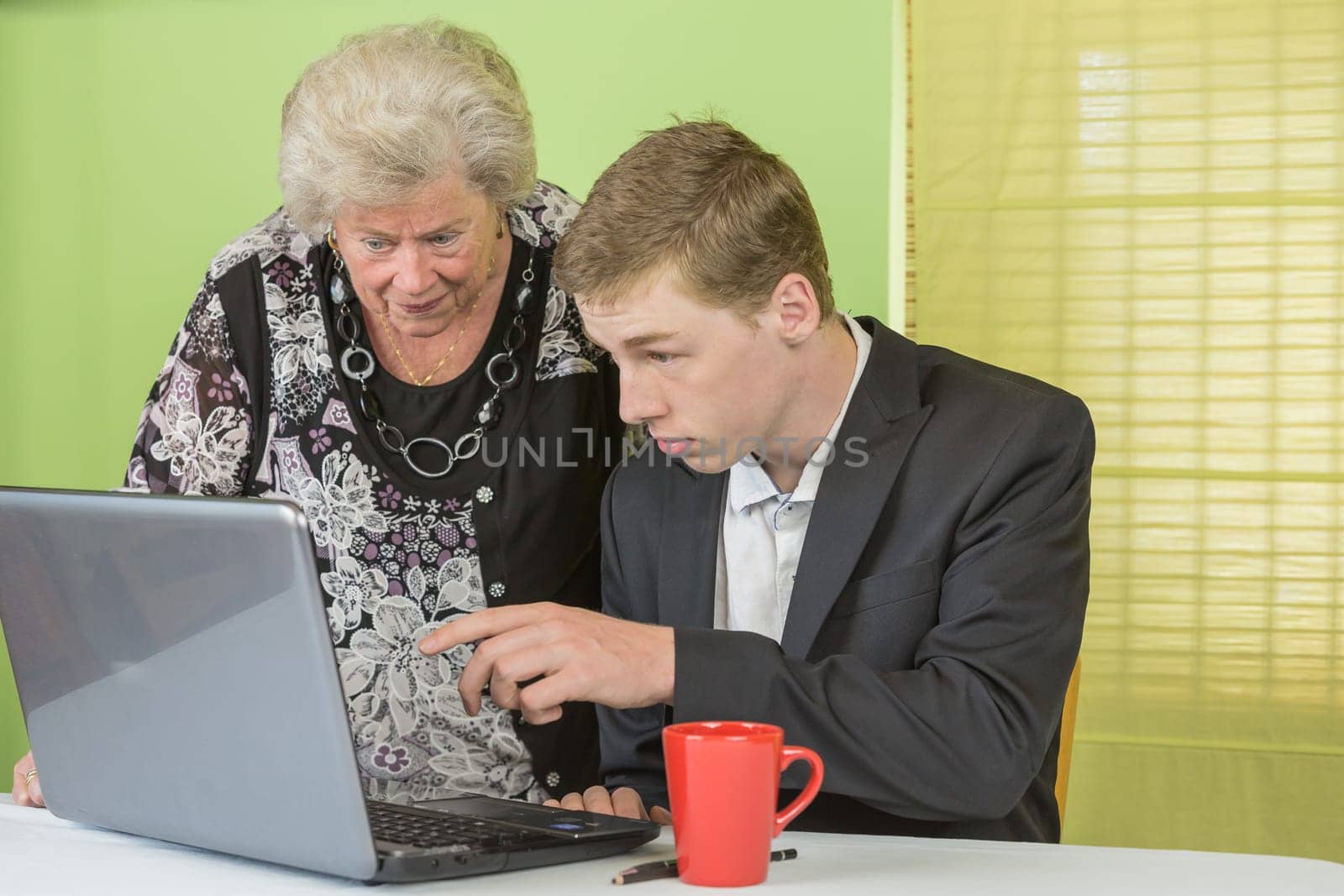 Elderly lady and young man working together on the laptop.