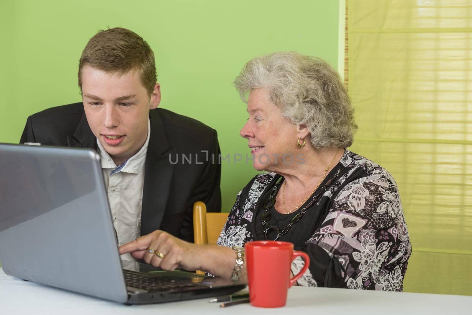 Elderly lady and young man working together on the laptop.