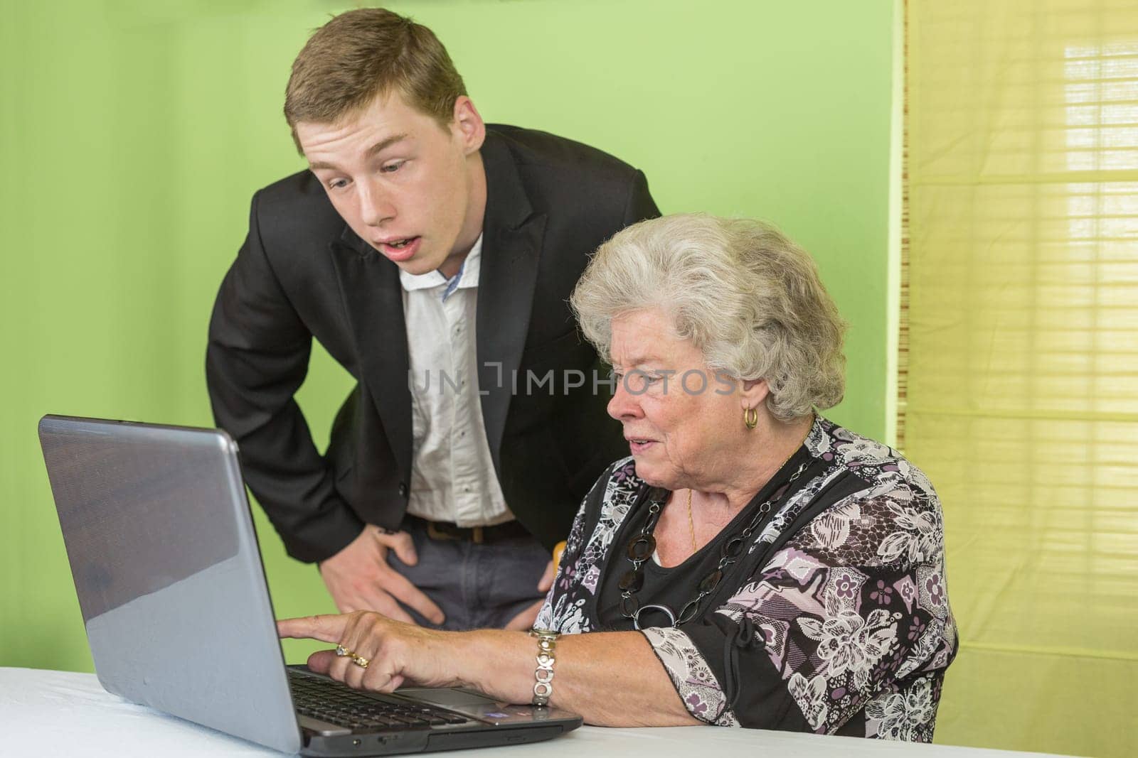 Elderly lady and young man working together on the laptop.