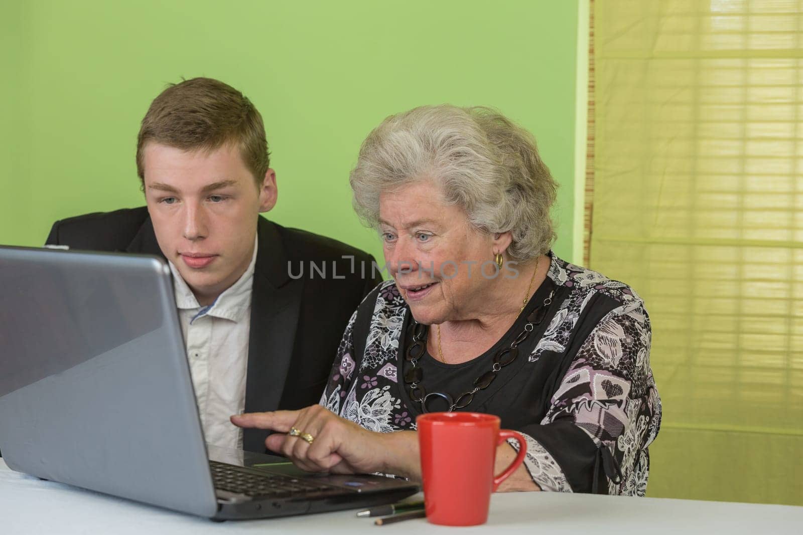 Elderly lady and young man working together on the laptop.
