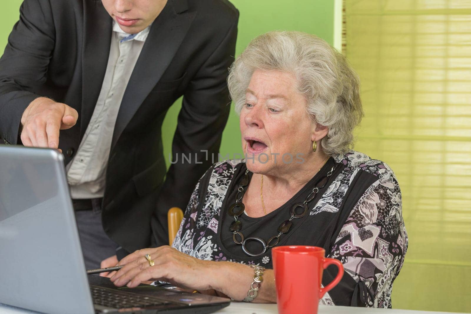 Elderly lady and young man working together on the laptop.