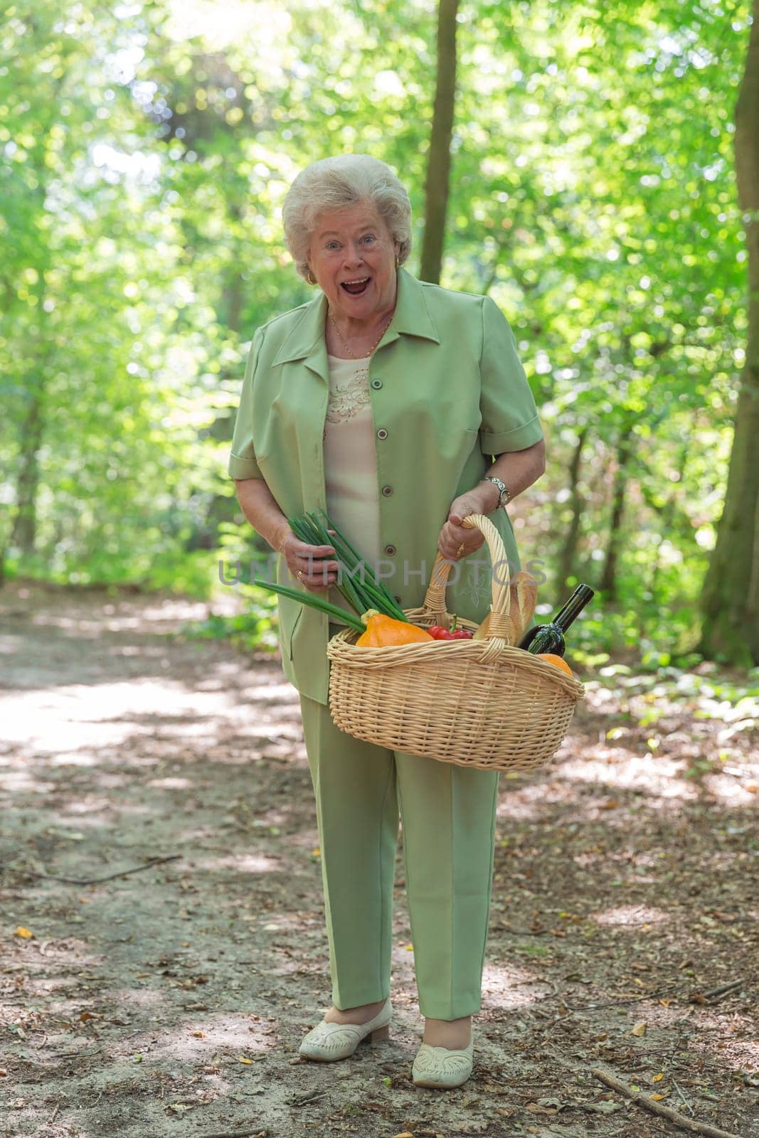 Elderly lady with shopping basket while walking