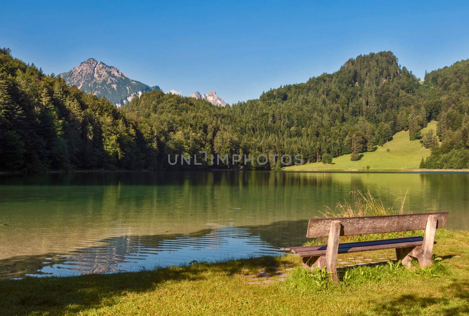 Alatsee