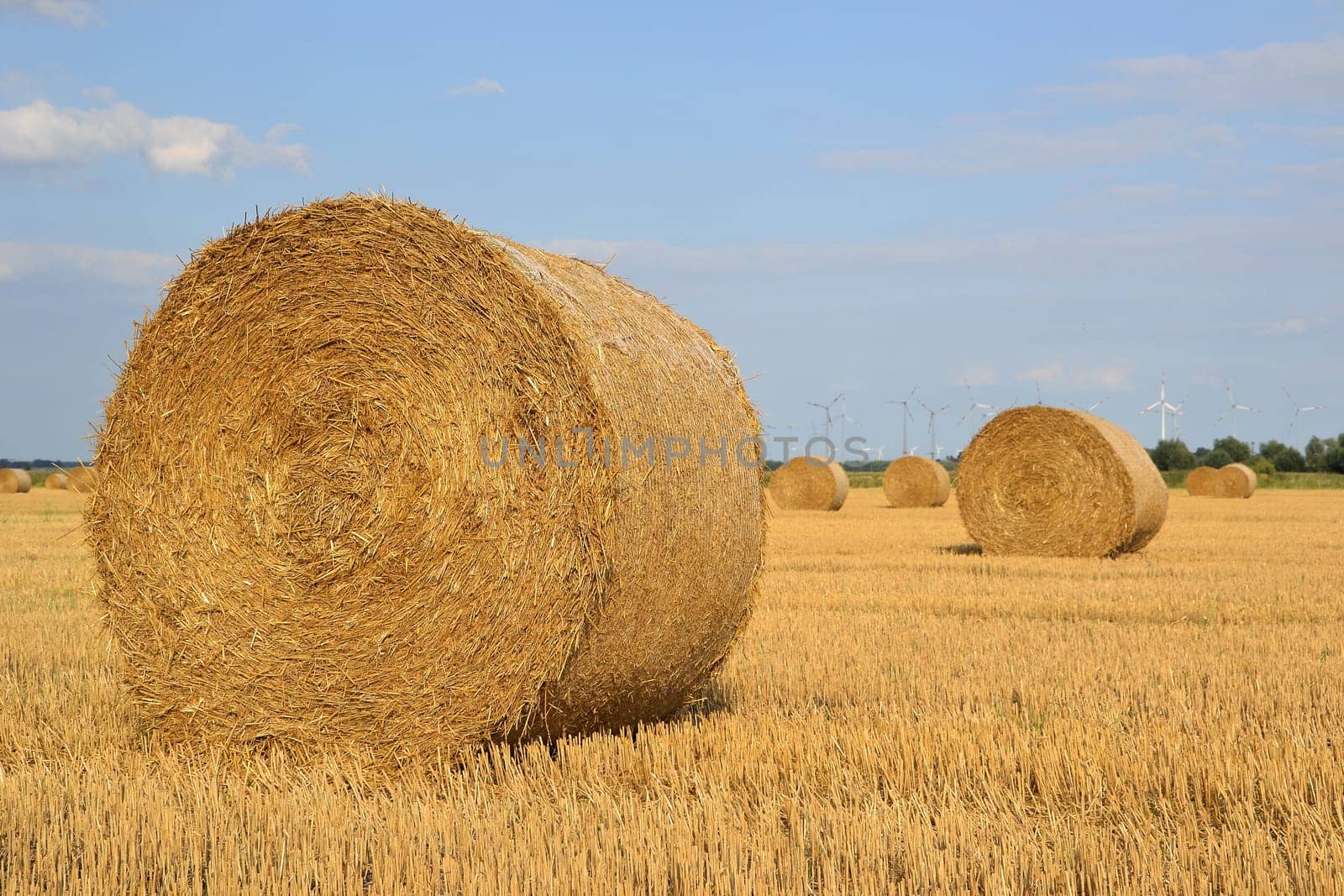 Straw in a field