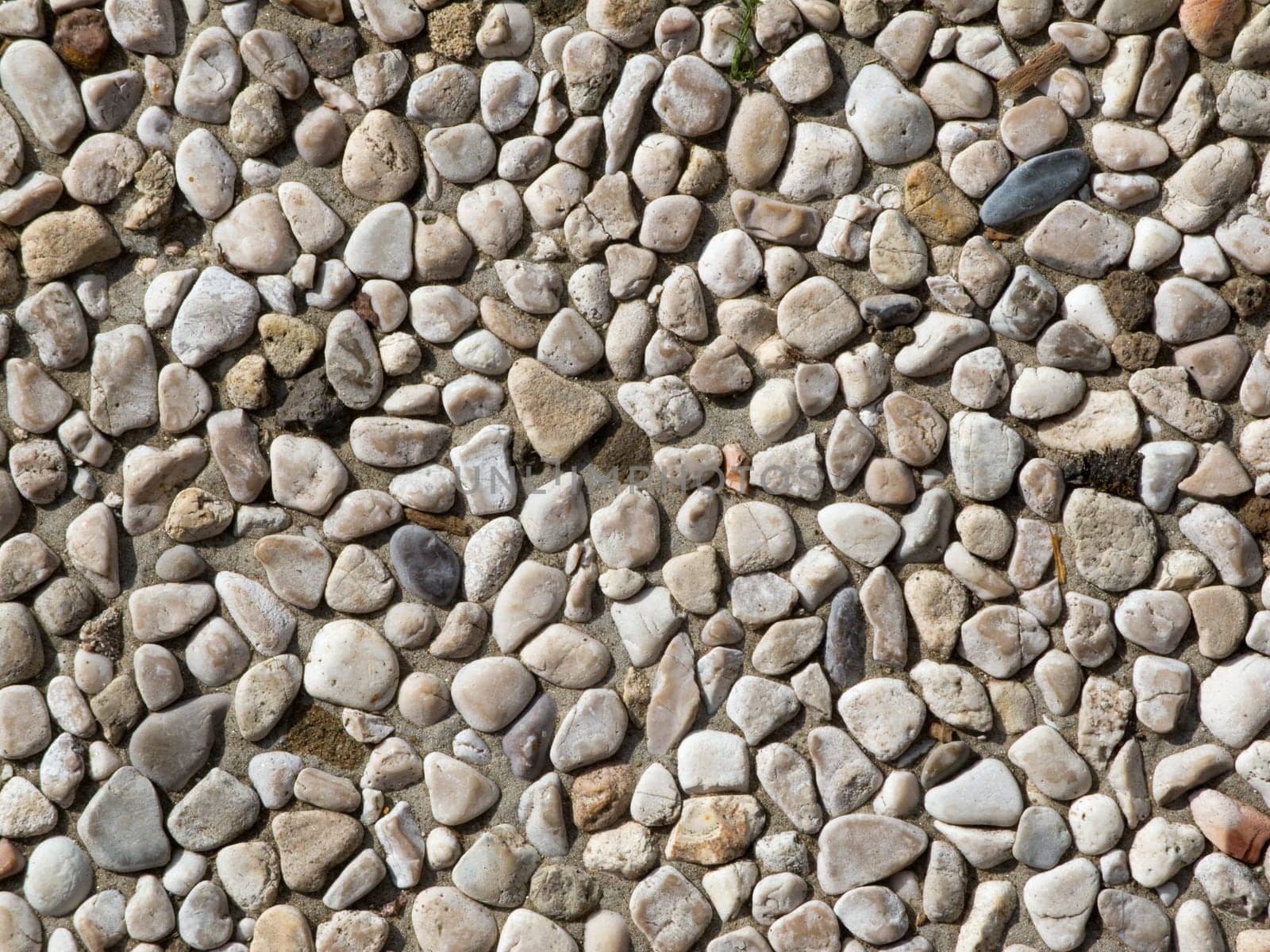 Pebbles on concrete substrate