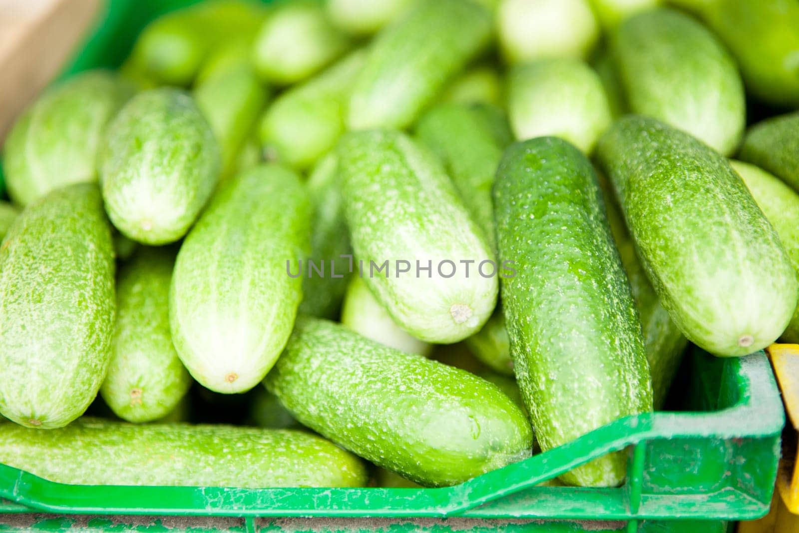 Closeup of fresh green cucumbers on sale at produce market