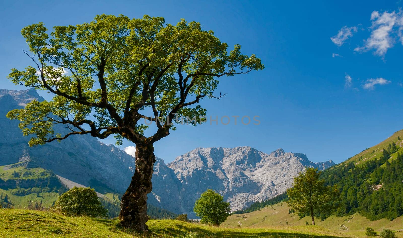 Grosser Ahornboden,Karwendel