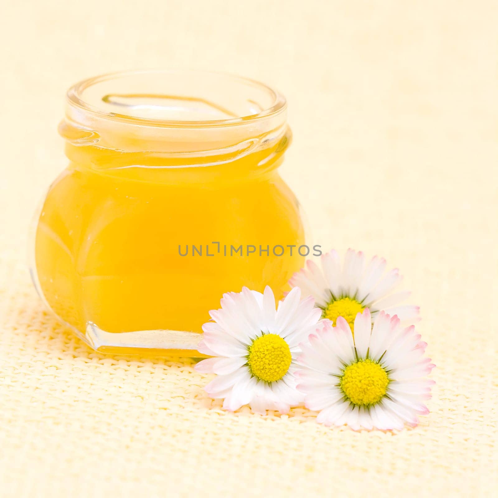 honey and daisies