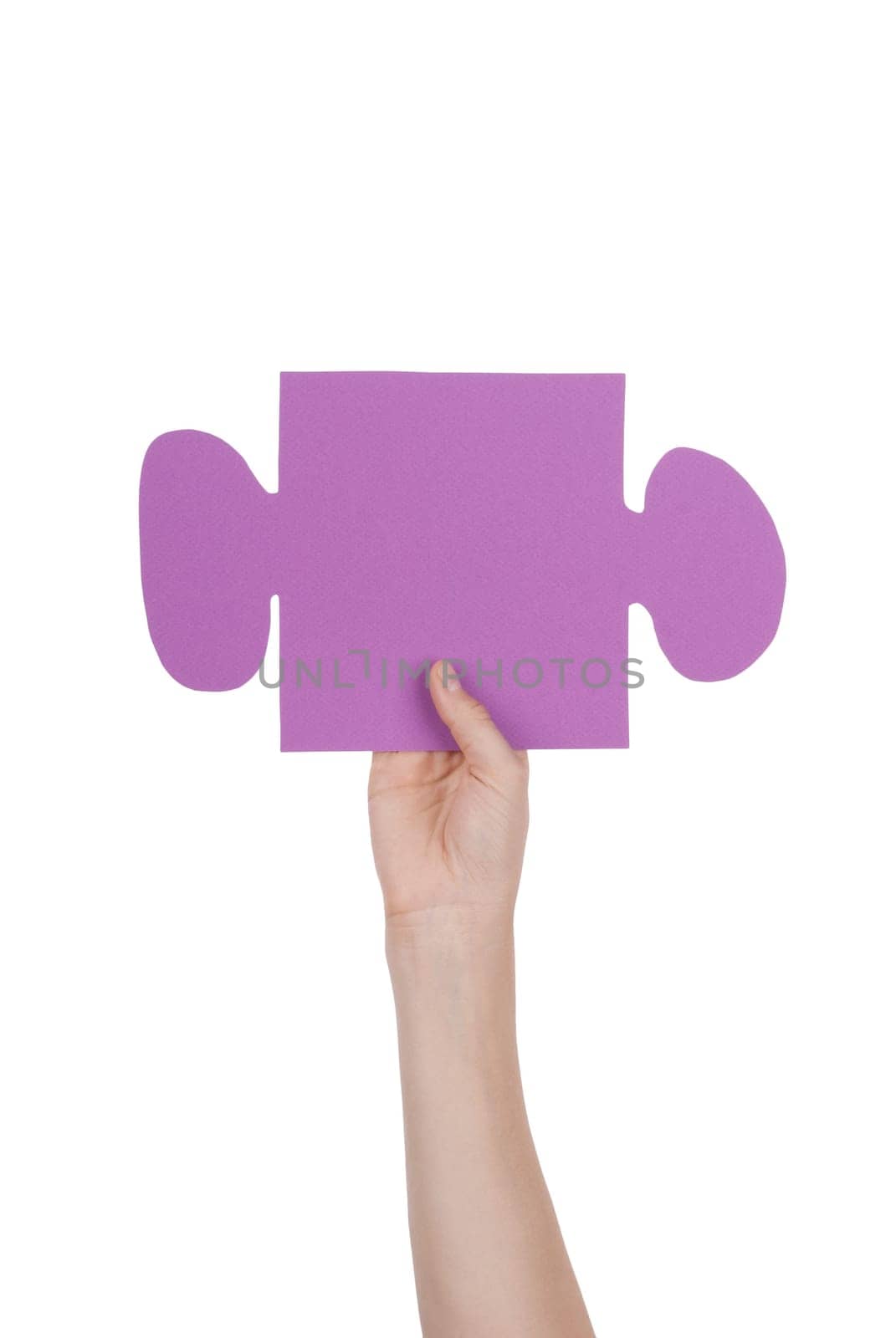 Hand Holding a Purple Piece of a Puzzle, Isolated