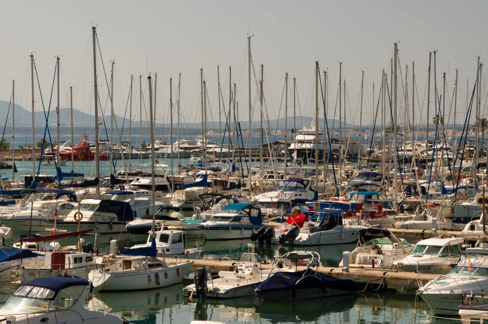 Marina in the bay of Alcudia in Mallorca