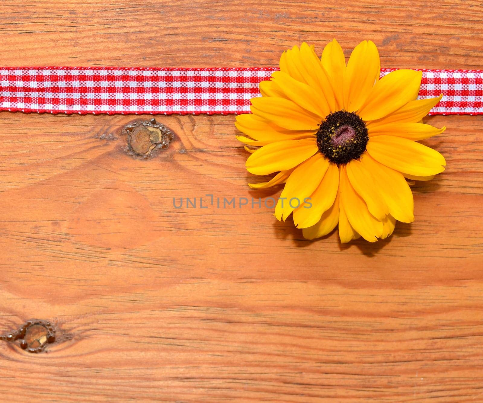 Flower Band Wood Background