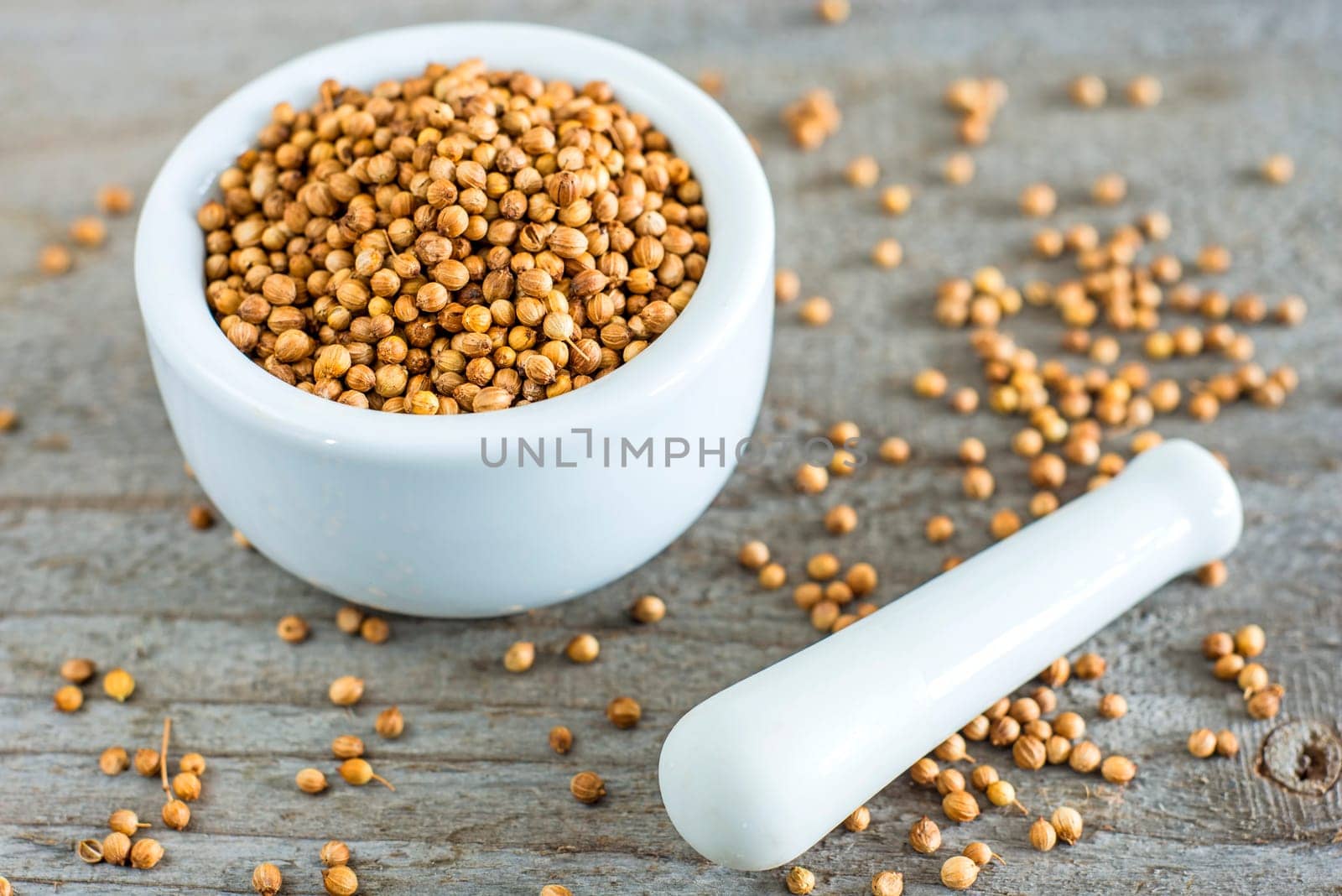 Coriander
