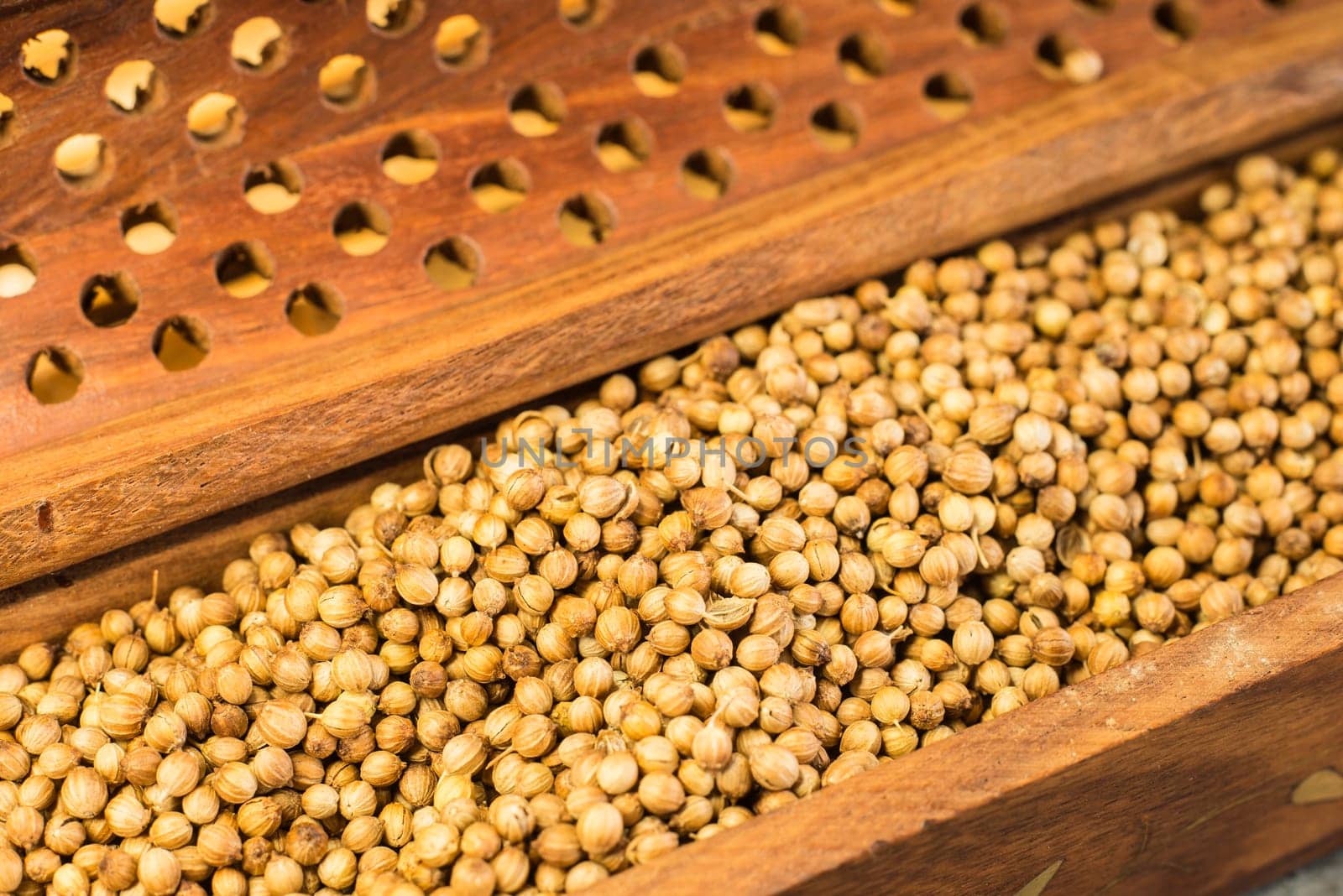 Coriander